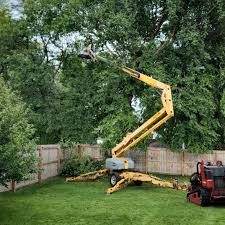 Best Tree Preservation Services  in Garrett, IN